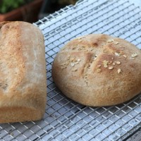 whole grain bread44