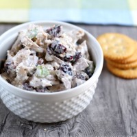 Cranberry Pecan Chicken Salad from www.thisgalcooks.com #chickensalad #pecans #cranberries WM