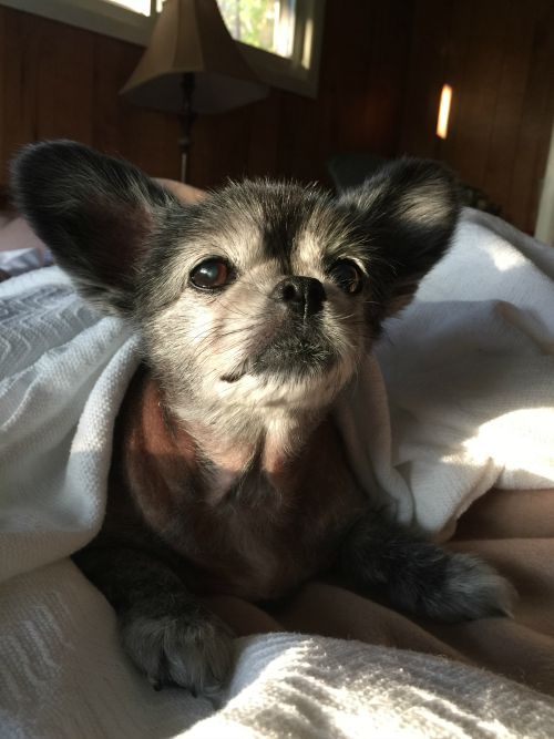 This is Kahlua
