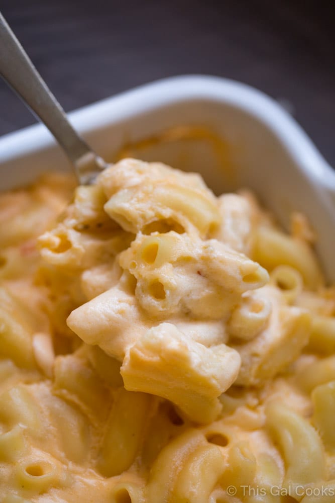 The creamiest Baked Four Cheese Macaroni and Cheese you'll ever try!