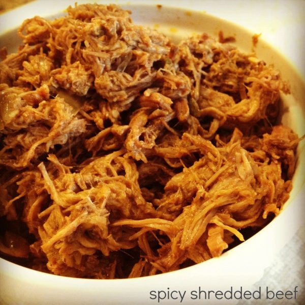 Spicy Shredded Beef