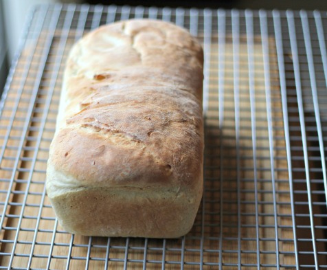 white bread5