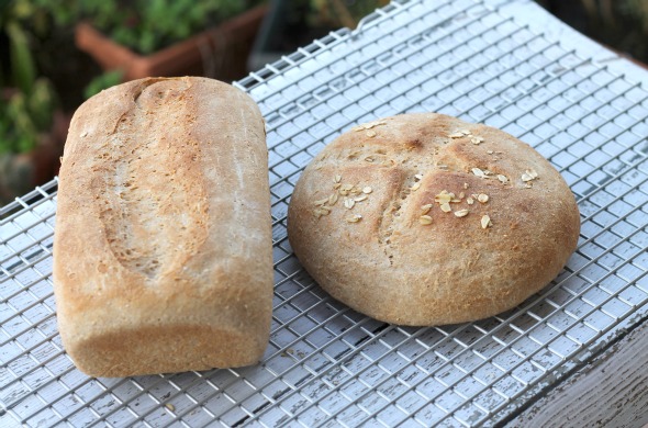 whole grain bread4