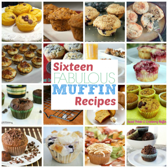 16 Muffin Recipes Part 1 This Gal Cooks