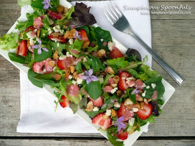 Strawberry-Almond-Wild-Violet-Salad-w-Blue-Cheese-2