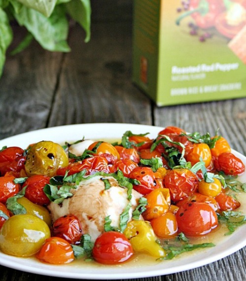 Grilled Fresh Mozzarella with Roasted Tomatoes and Basil by Heather's French Press