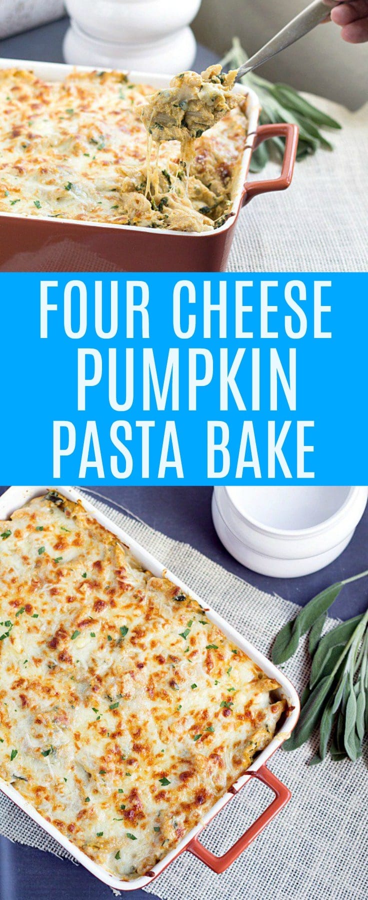 Four Cheese Pumpkin Pasta Bake. This cheesy bold pumpkin pasta bake is easy to make and perfect for dinner!