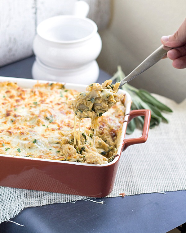 Four Cheese Pumpkin Pasta Bake form www.thisgalcooks.com #pumpkin #pasta #savorydishes