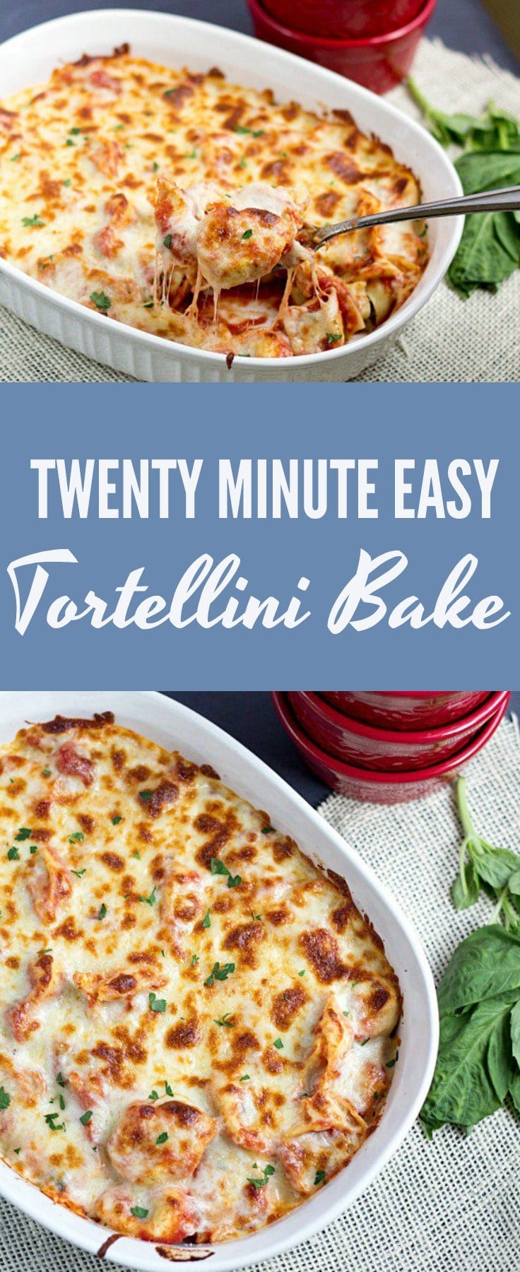 Twenty Minute Easy Tortellini Bake is a perfect weeknight dinner recipe. You'll have minimal cleanup and a delicious, cheesy dinner that everyone will love! #pasta #tortellini #dinner #recipe #cheese
