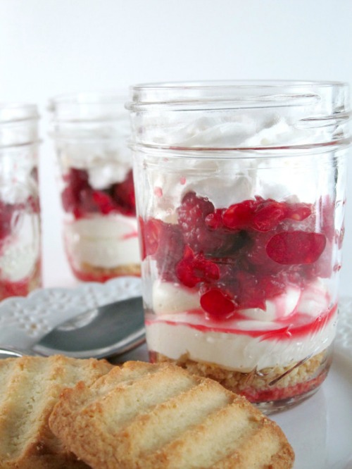 No Bake Limoncello Raspberry Cheesecake by Shake Bake and Party