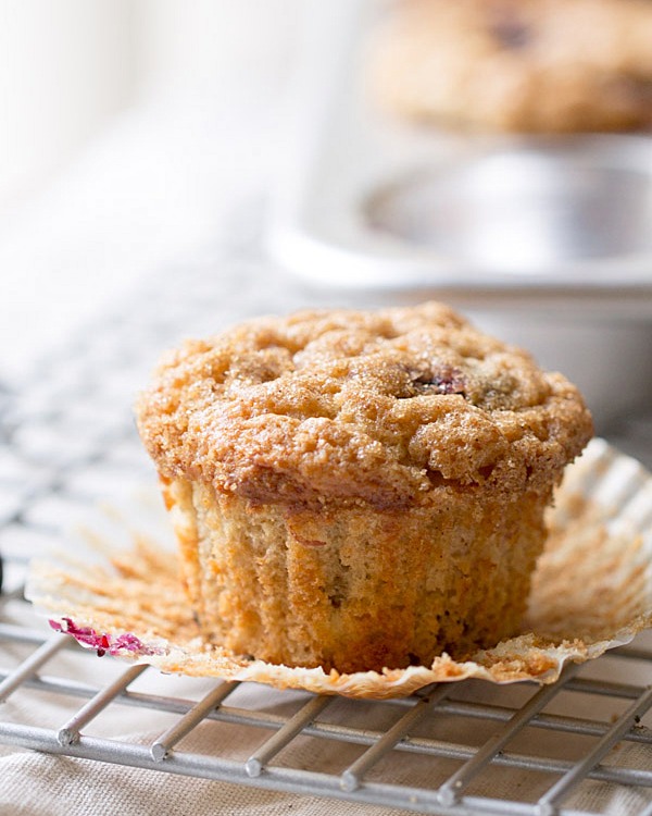 The BEST Blueberry Banana Yogurt Muffins! Topped with a crunchy cinnamon sugar topping and filled with blueberries and chocolate chips!