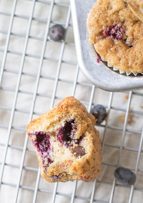 The Best Blueberry Banana Yogurt Muffins This Gal Cooks