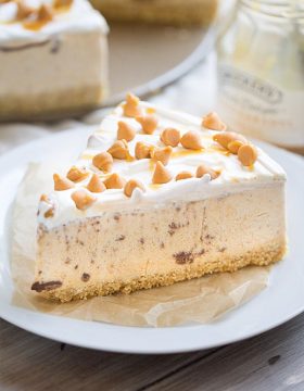 Pumpkin Spice Nutella Swirl Ice Cream Pie