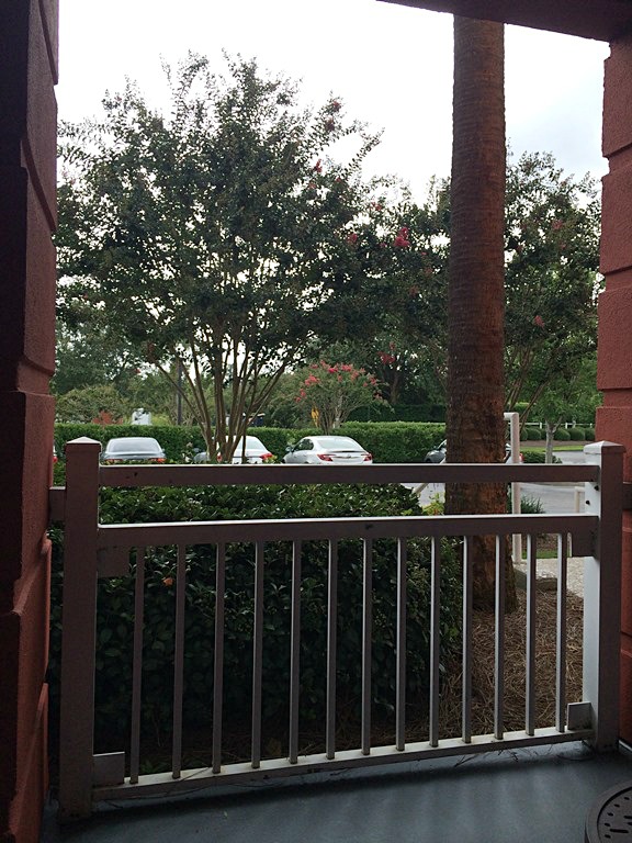 View from our balcony.
