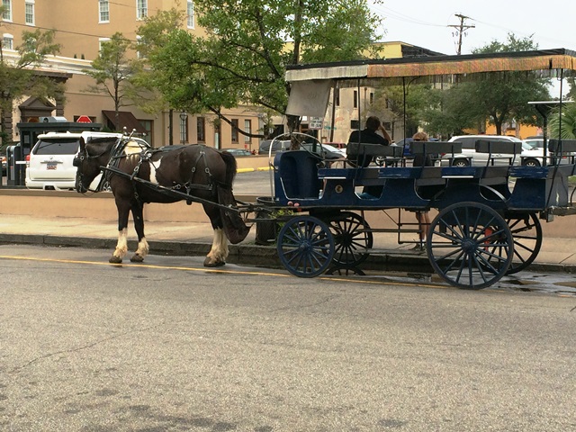 Carriage Tours located near City Market