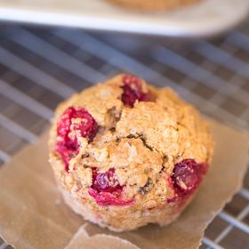 Cranberry Walnut Muffins are my new favorite breakfast | This Gal Cooks