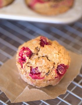 Cranberry Walnut Muffins are my new favorite breakfast | This Gal Cooks