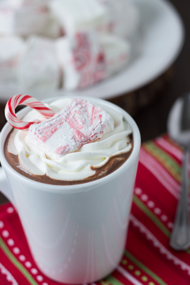 Homemade-Peppermint-Hot-Cocoa-1