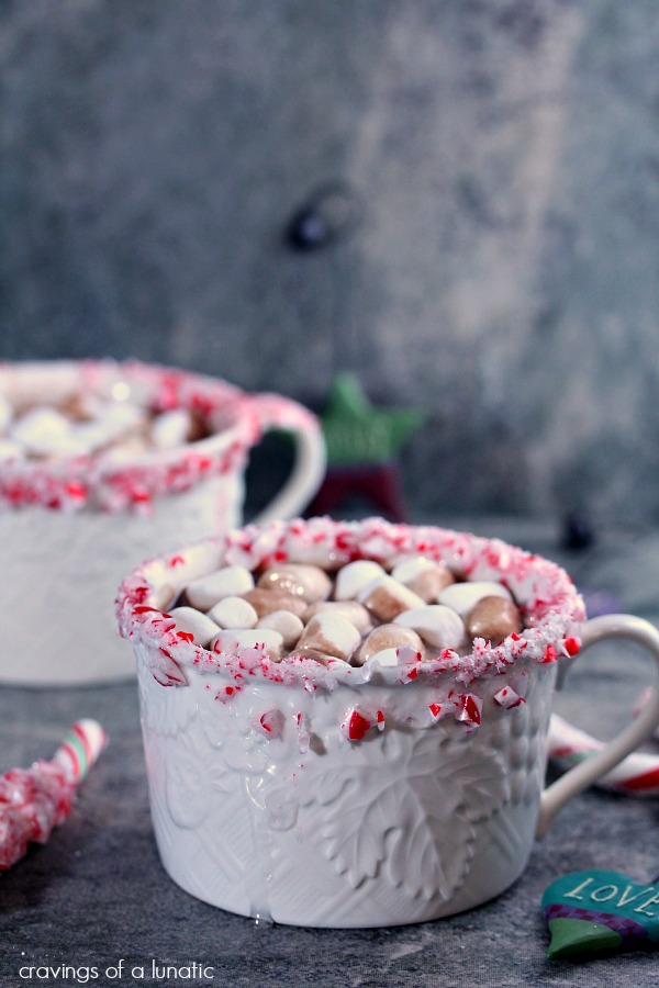 Peppermint-Hot-Chocolate-and-Peppermint-Wands-2