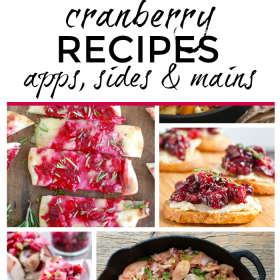Over 15 Cranberry Recipes. You'll find appetizers, side dishes and main dishes in this recipe collection!