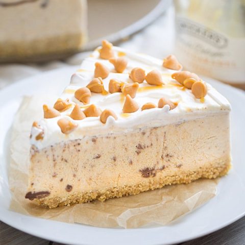 Pumpkin Spice Nutella Swirl Ice Cream Pie