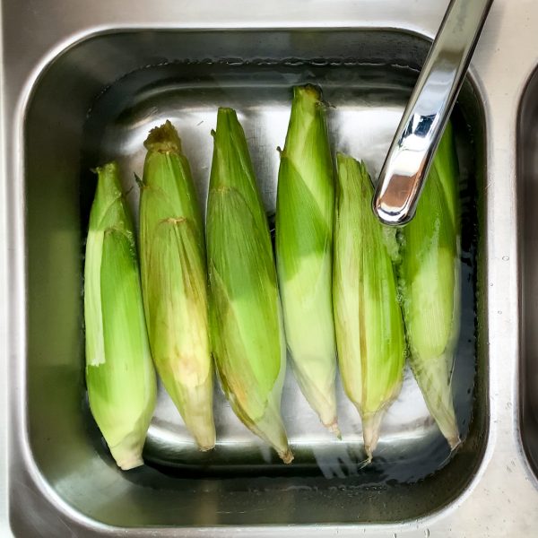 bright-green-corn-husks