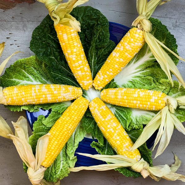 The Perfect Oven-Roasted Corn On The Cob Recipe