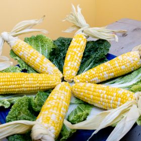 oven-roasted-corn-on-the-cob-husk-handles