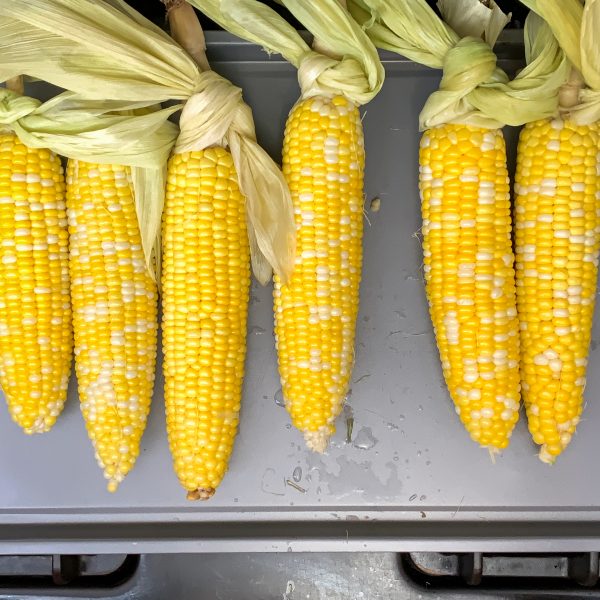 oven-roasted-corn-on-the-cob-on-baking-sheet