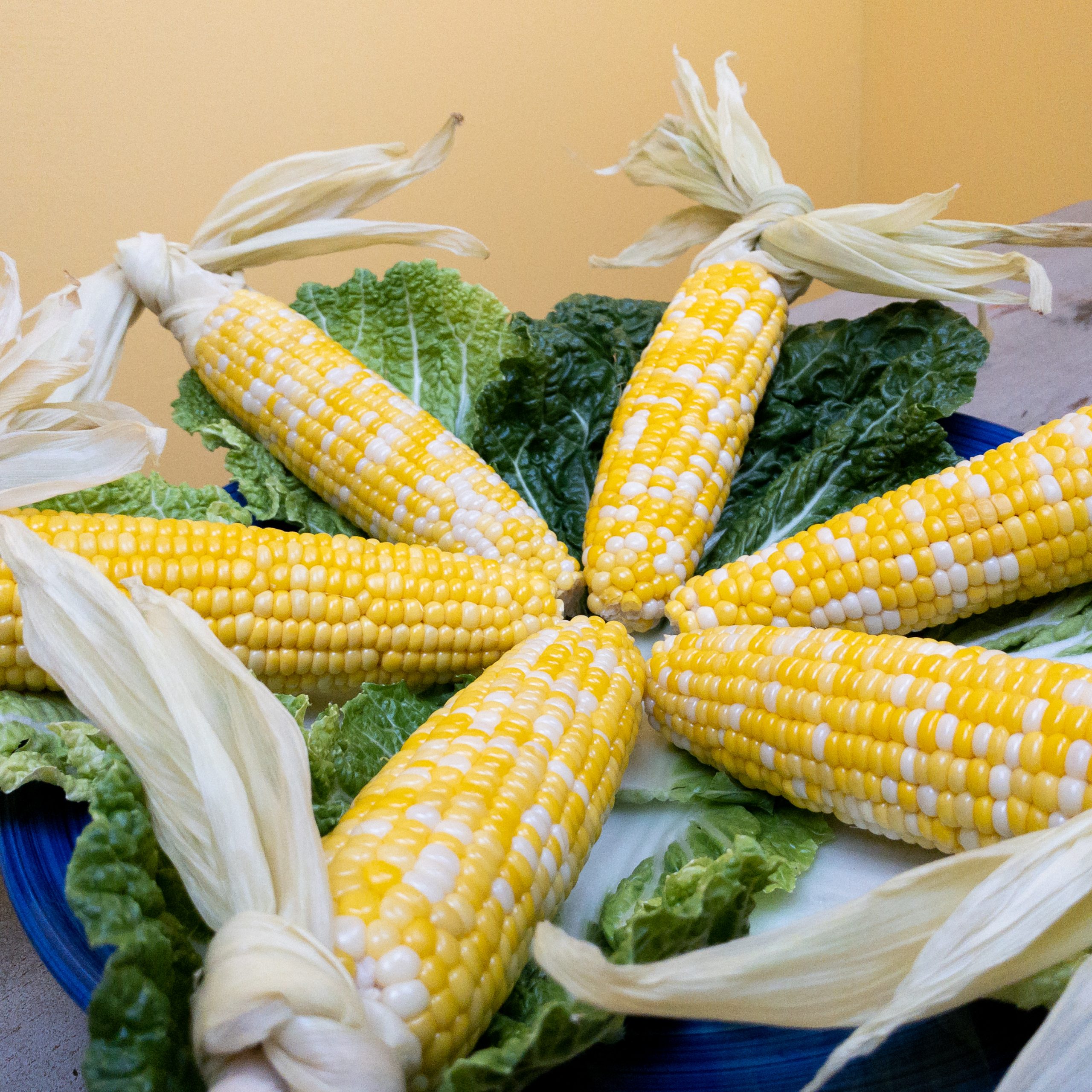 Corn Husk Recipes And More: Using Corn Husks From The Garden