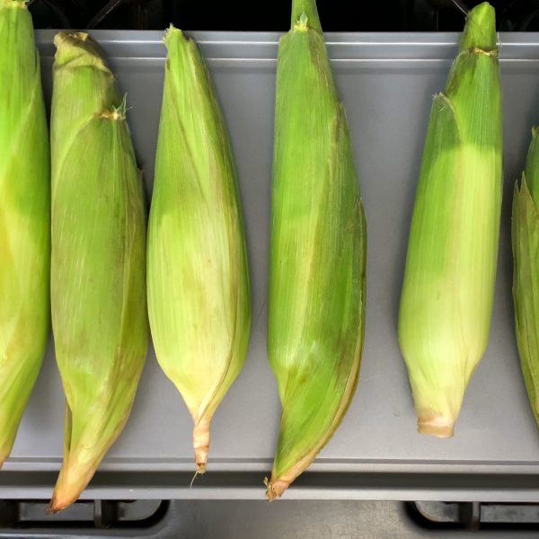 spread-the-corn-out-on-a-baking-sheet